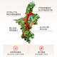 Ningxia Hong Ningxia Red Wolfberry Wine 38 grados 125 ml Ningxia Specialty Wolfberry Brewing National Trend Style Bottle Bottle Wine Edition 38 grados 125ml 24 botellas [RESIDAD]