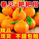 Xuji (XUJI) Sichuan Chunjian Mandarin Fresh Fruit Papa Pa Pa Pa Pa Mandarin Seasonal Ugly Orange Ugly Eight Monsters Orange Sweet Mandarin Full Box of 12 Pieces Gift Box + Handbag