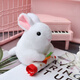 Weltston Plush Toy Doll Dolls Dolls Gird Girl Girl Girl Girl pour se moquer du petit lapin blanc