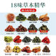 Guangyuelou afeitado de maíz té de hoja de mora 300g dinero verde Honeysuckle Pueraria raíz sarry treat camelia té té té té maíz afeitado té de hoja de morera 90 paquetes