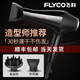 Feike Hair Dryer High Power 3000W ménage négatif négatif électrique Salon de coiffure pour hommes spécial 2000w Ion High Power FH6231 Installation ordinaire