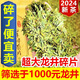 Shifangyi 2024 New Tea Mingqian Broken Tea Slices Green Tea Longjing Tea Slices Strong Flavor Tea Slices Bags Bulk Wholesale 250g