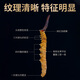 Guchenergtang Authentische Erste-Term-Cordyceps Trockenwaren Geschenk frisches Gras Erst Stoppeln Tibeter Cordyceps getrocknete Cordyceps 2 Wurzeln/G 3 Wurzeln/G 100 Wurzeln Großer Teller Geschenkbox [3 Wurzeln/g]