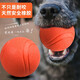 Pochido Dog Toy Ball Small Teeth Resistant Elastic Ball Teddy Self-Enjoyment Relief Solid Rubber Ball Pet Training