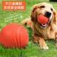 Pochido Dog Toy Ball Small Teeth Resistant Elastic Ball Teddy Self-Enjoyment Relief Solid Rubber Ball Pet Training