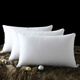 
Carnation Pillow Five Hotel Pillow Single Pillow Core Jiangsu Carnation Textile Group One-Pair Shot 2. Medium and Low Pillow: 74*48*1050g per (Filled