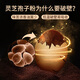 Gubentang Break Wall Ganoderma lucidum Spore Powder Gift Box 100g Middle-aged and Elderly Health Products Enhancement of Immunity and Postoperative Recovery of Disease Visitors