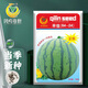 Fengming Yashi Rock Sugar Kirin Watermelon Seeds Red Flesh Watermelon Four Seasons Spring Sweet Watermelon Early Good 8424 Watermelon Seeds 100 capsules