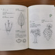 植物学家的词汇手册 图解1300条园艺常用植物学术语