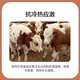 East China Zhengda 4% beef cattle and sheep premixed calf and lamb fattening cattle and sheep material to fatten and gain weight, pull the skeleton without diarrhea, 1 bag of special material for mutton and sheep