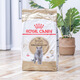 Royal Daddy Royal Cat Food BS34 British Shorthair Cat Special Blue Cat American Shorthair Adult Cat Food Fattening Hair and Cheeks Full Price 2kg