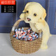 Ornaments for putting keys, storage box for putting keys, ornaments for putting keys, light luxury dog ​​storage ornaments, creative artist, cute pet-Labrador