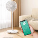 Sezze Japanese air circulation fan electric fan household floor fan smart desk fan DC variable frequency timing desktop fan remote control energy-saving light turbine convection ventilation fan Y-288BK (PLUS)