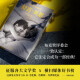 【京仓速发 明日达】舒吉*贝恩（2020年布克奖大奖作品）97875447**844