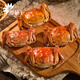 [Certificat-cadeau] Crabe Crab Crab Card Gift Collection Crab Coupon Crab Card Exchange Coupon Pickup Card Hoiley Crab Goiner Type 698 FEMME CRABLE FEMME FEMME 2,0 TOUTQUE PACK 10