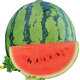 Authentic Diaogua Xiaoqilin Watermelon Seeds 8424 Four Seasons High Yield Early Maturity Gift Green Skin Red Flesh Super Sweet Xiaodiao Watermelon 100 capsules for field use
