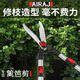 Arrizo gardening scissors, greening, retractable pruning shears, hedge shears, lawn pruning, wavy blade garden scissors