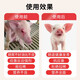 Xintainong 846 suckling pig concentrated feed, conservation material, fish meal peeled and puffed soybean meal, good palatability pig feed 20KG/bag 2 bags 846