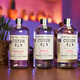 Cuishe (Cuish) Mexikanische Mezcal Tequila Originalflasche importiert ausländische Weinbasis Wein Urlaubsgeschenk 750 ml 1 Flasche Cuishe Xifei Tequila