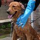 Pilot Pet Bath Gloves Extra Long and Thickened Dog and Cat Hair Removal Artifact Golden Retriever Bath Brush Special Tools and Supplies