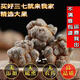 Yunnan Wenshan Chun Sanqi Wild Wild Fields Qi Prix de gros sans cire Sanqi Head Sanqi Flower Wake Soaked Agricultural Products 250g (30 pièces)