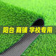 IGIFTFIRE simulated lawn carpet artificial artificial balcony floor mat kindergarten green outdoor fake grass plastic turf decoration 3 cm spring grass style 2 meters wide 0.5 meters long 1 square meter