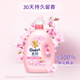 Jinfang Clothes Fragrance Master Fragrance Softener Care Agent Sakura 16 Jin Jin is equal to 0.5 kg, long-lasting fragrance and deodorization, soft fragrance and anti-static