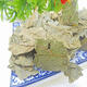 Green money willow leaves pure new goods Chinese medicinal materials Green money willow Green money willow 250g