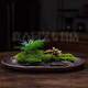 La cuenca de rocas de jiagong agua absorbe la cuenca de piedra de la cuenca de bonsai de los bonsai calamus rockery agua piedra hidropónica de arcilla púrpura de bonsai 2679 cerámica grande