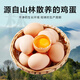 Local eggs, grain-fed, farm-raised fresh eggs, about 40g, breakfast Jingdong fresh soft-boiled eggs, 4 pieces 40-50 Local eggs, grain-fed, farm-raised fresh eggs, about 40g, breakfast Jingdong fresh soft-boiled eggs, 4 pieces 40-50