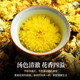 
Chen Yifan Tea Chrysanthemum Tea Golden Ruby Emperor Chrysanthemum Chrysanthemum Tea can be used as wolfberry honeysuckle herbal tea bags with about 500 flowers