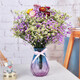 AIMAN Gypsophila natural dried flower bouquet ins internet celebrity birthday new house decoration ornaments air-dried real flower arrangement home furnishings purple baby's breath + citrine + 5 small daisies without vase