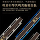国光进口音簧国光28孔口琴重音复音C调高级成人初学入门专业演奏口琴 典藏版24孔亮黑色重音【音标款】
