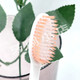 
Jinlang toothbrush Soft bristles 844 sharp-finished bristles Clean tongue coating High-density elastic universal home suit Soft bristles 3 pieces