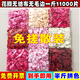 Chenbu artificial rose petals arrangement, wedding fake flower decoration, proposal, birthday confession, stage props, wedding hand-spreading flowers, pink gradient 1Jin Jin is equal to 0.5kg, about 8000 pieces