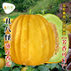 Long-cultivation ugly thin-skinned cantaloupe seeds spring and summer prismatic melon seeds golden melon seeds fruit and vegetable seeds collection Ugly thin-skinned cantaloupe 5g * 2 packs
