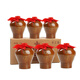 Tower brand pottery altar flower carving three years semi-dry Shaoxing rice wine 1.5L*6 jars full box plus rice wine