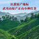 Bama Tea Industry Black Tea Wuyi Mountain Zhengshan Xiaozhong Level 240g Double Can Gift Box Tea Gift
