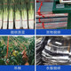 柯锐迩 打包绳 搬家塑料绳子捆绑快递尼龙绳捆扎捆绑打包塑料绳子尼龙打包绳打包带仓库包装绳草球绳加厚耐磨