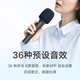 MIJIA karaoke microphone large screen version 2-pack Xiaomi TV Redmi TV home KTV TV microphone microphone double wireless connection 36 preset sound effects