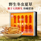 Tongrentang Brand Tibet Wild Cordyceps Sinensis 2-3 Roots / G12G environ 36 coffrets cadeaux haut de gamme pour les grands clients à diriger