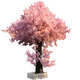 Flower e flow simulated cherry blossom fake peach tree large plant simulated cherry blossom tree simulated peach blossom tree wishing tree peach blossom living room decoration round 3.5 meters high 3.5 meters wide