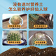 Devodo cactus special nutrient soil 15L gardening green plant potted flower soil organic composite matrix planting soil