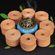 Fushengtang sandalwood incense coil household indoor agarwood incense toilet deodorization bathroom mugwort mosquito repellent incense 120 discs of Thuja incense (incense burner included)