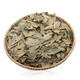 Médicaments chinois utilisés dans la cour intérieure, feuilles de saule Qingqian, Zhangjiajie sélectionné les feuilles originales de Willow Qingqian, arbre ancien, Jinqian Willow Green Willow Health Health 5