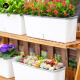 Nine Thousand Grain Vegetable Basin Rectangular Home Planting Pot Vegetable Plastic Long Strip Flower Pot Tank Double-layer Thickened Small 6195