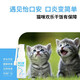 Bolideli Yikoan Cat Oropharyngeal Spray Cat Stomatitis Cat Oral Ulcer Cat Cup-shaped Gums Redness and Swelling Recommended Golden Partner for Cat Stomatitis (Yikouan + Yinitai)