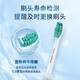 飞利浦（PHILIPS）电动牙刷头适配HX6730HX6512HX3226HX9911HX3792HX9912 3支