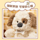 名创优品（MINISO）吉梨尼尼乖乖坐姿公仔毛绒玩具玩偶娃娃抱枕小狗娃娃生日礼物女