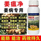Special pesticide for ginger disease, ginger fungicide, ginger fungicide to prevent and control ginger blast, root rot, soft rot, 500ml/20 bottles